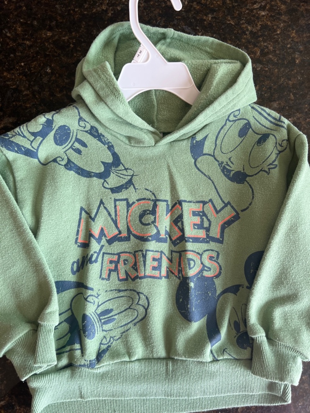 Disney Green Mickey and Friends Pullover Hoodie